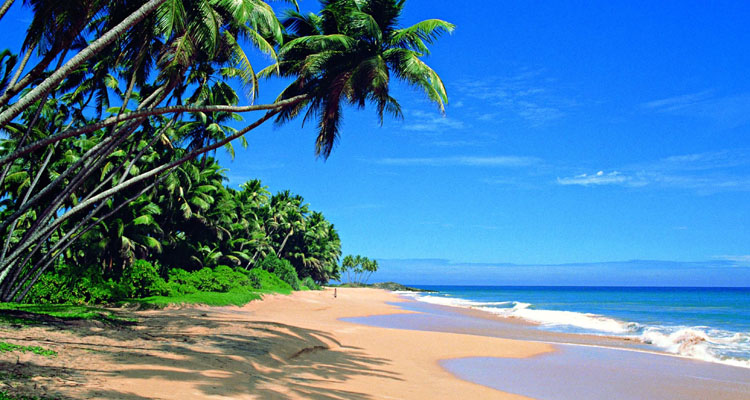 Туроператор ANEX Tour открыл продажу туров на Шри-Ланку 2018-2019