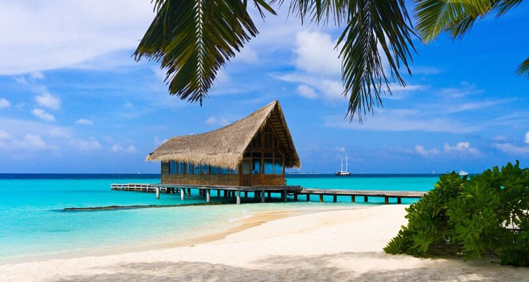 Доминикана на майские - тур из Москвы 5* ВСЕ ВКЛЮЧЕНО от 65620 рублей