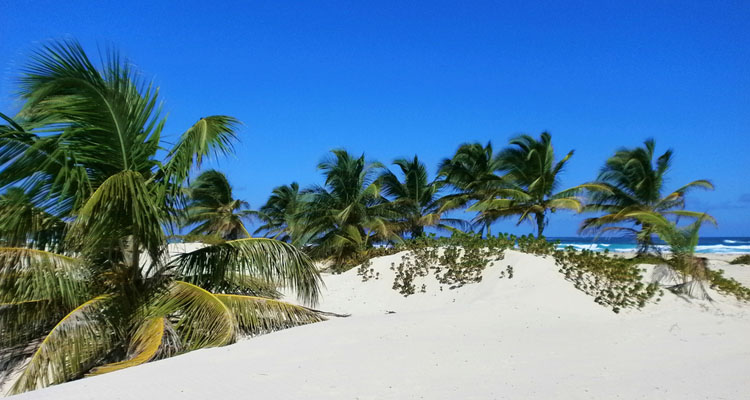 Горящие туры в Доминикану из Москвы и СПб